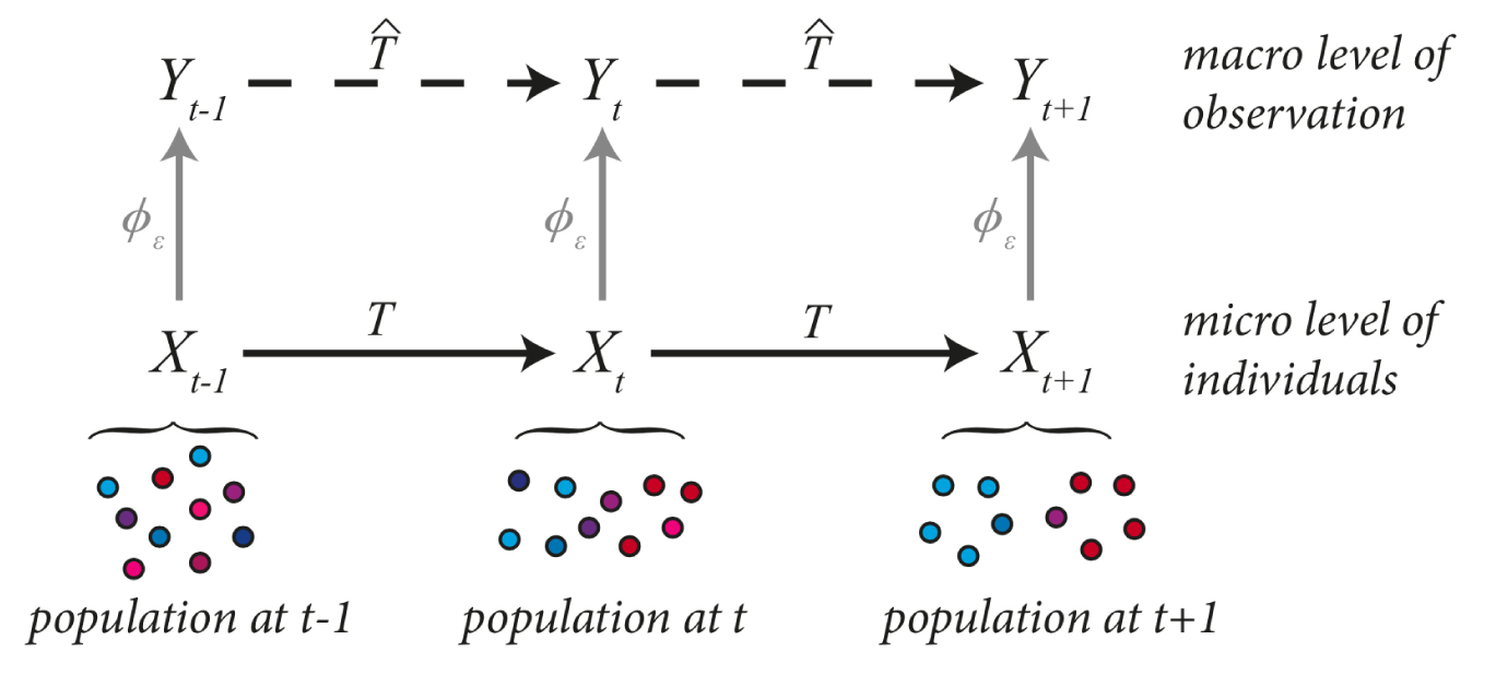 Micro level and Macro level dynamical processes